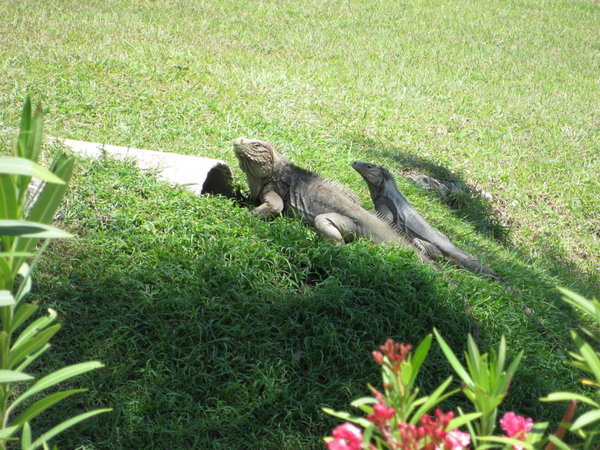 KG4YU Guantanamo Bay DX News KG4YU Guantanamo Bay DX News